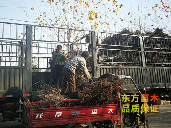 裝車現場