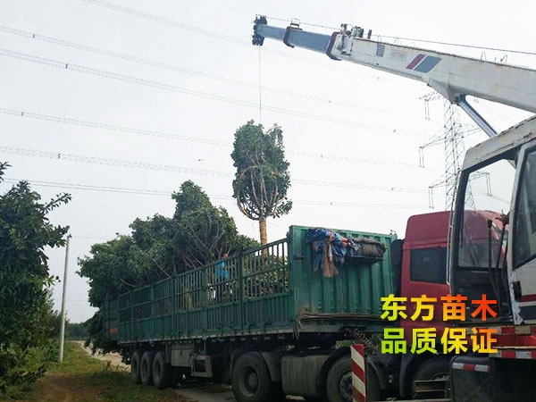 裝車現場